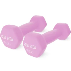 Hantelki żeliwne do ćwiczeń Classic 2 x 0,5 kg