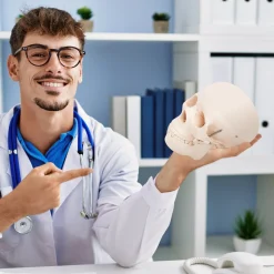 Model anatomiczny czaszka człowieka